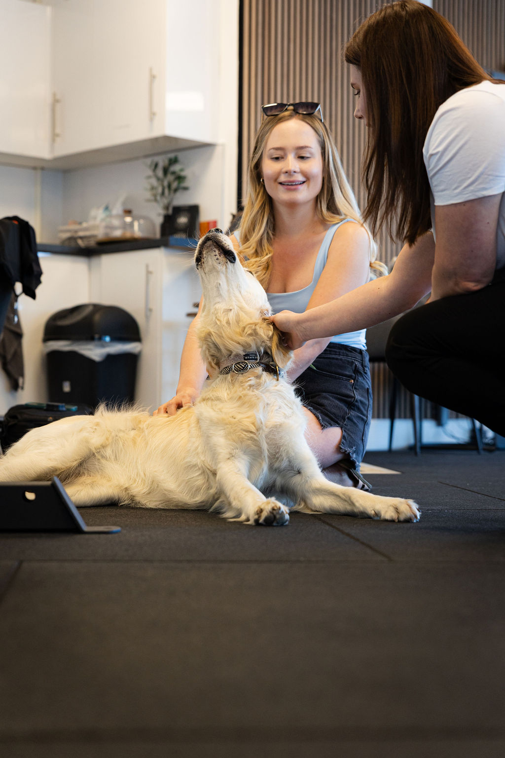 AG Osteopathy highlights